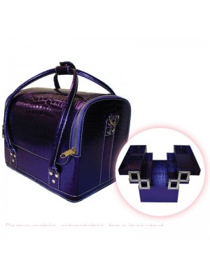 Beauty Tools Purple Case